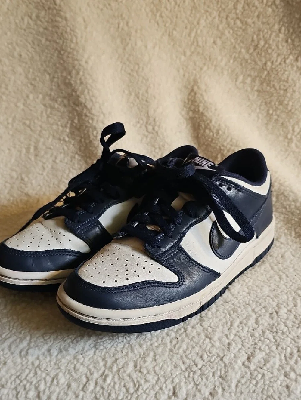 Nike Navy Blue Mesh Athletic Shoe